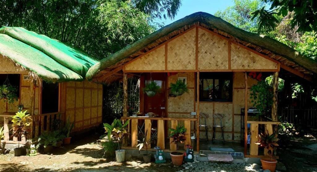 Traditional Filipino Transient House And Huts Near 100 Islands Wharf Alaminos Exterior foto